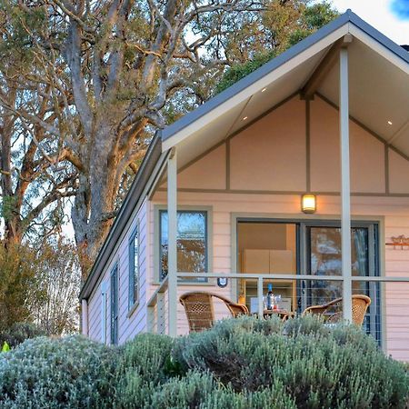 Grace Cottages Uralla Екстериор снимка