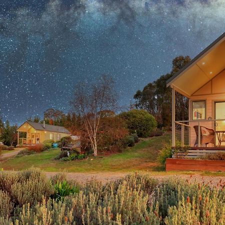 Grace Cottages Uralla Екстериор снимка