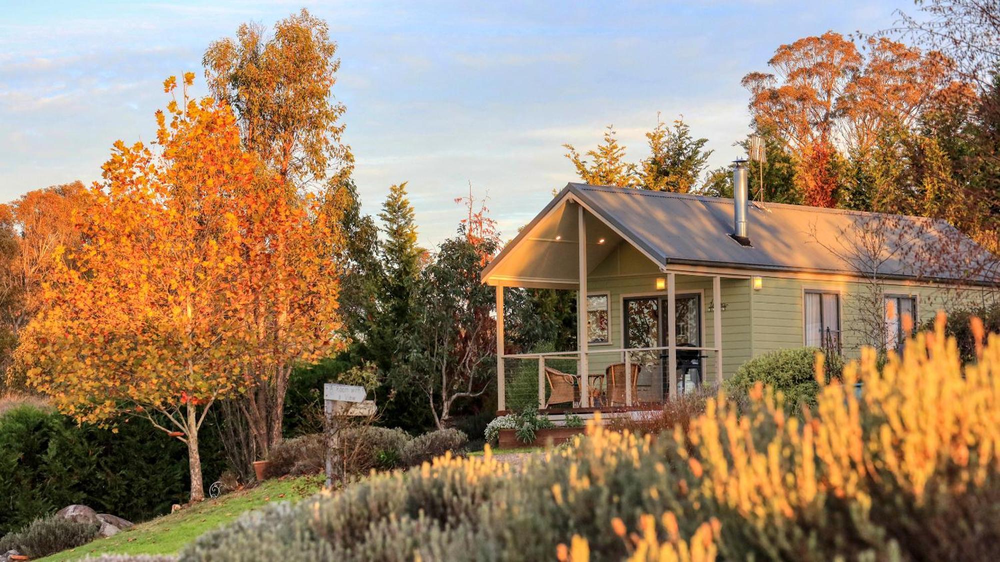 Grace Cottages Uralla Екстериор снимка